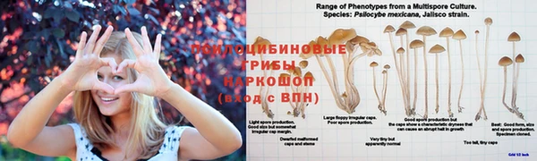 стаф Абдулино