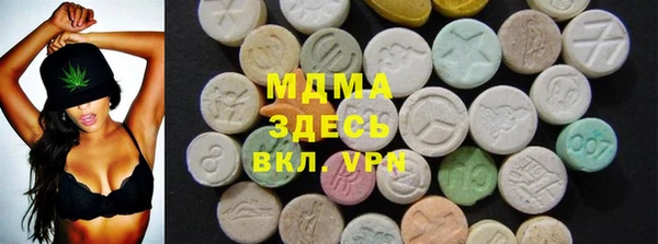 индика Абинск