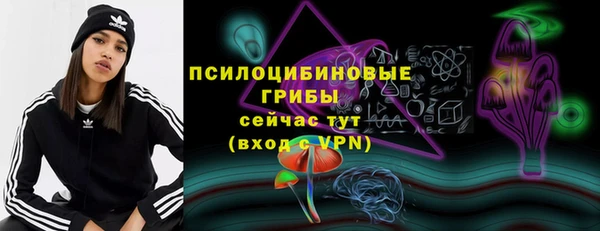 скорость Абаза