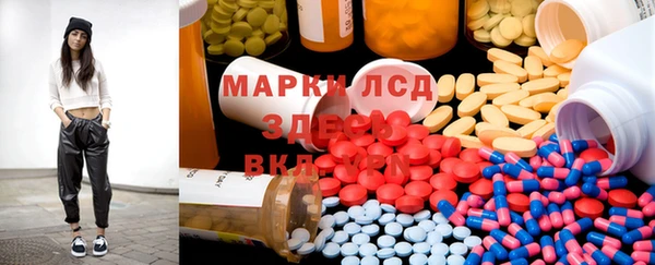 мяу мяу мука Алзамай