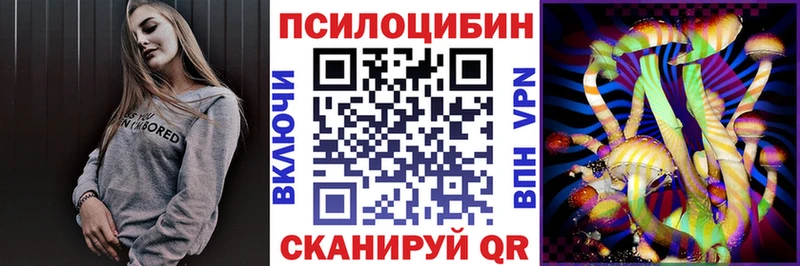 OMG как зайти  Лабинск  Псилоцибиновые грибы Cubensis  shop какой сайт  закладка 